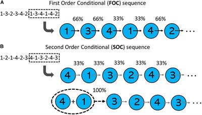 A Daytime Nap Does Not Enhance the Retention of a First-Order or Second-Order Motor Sequence